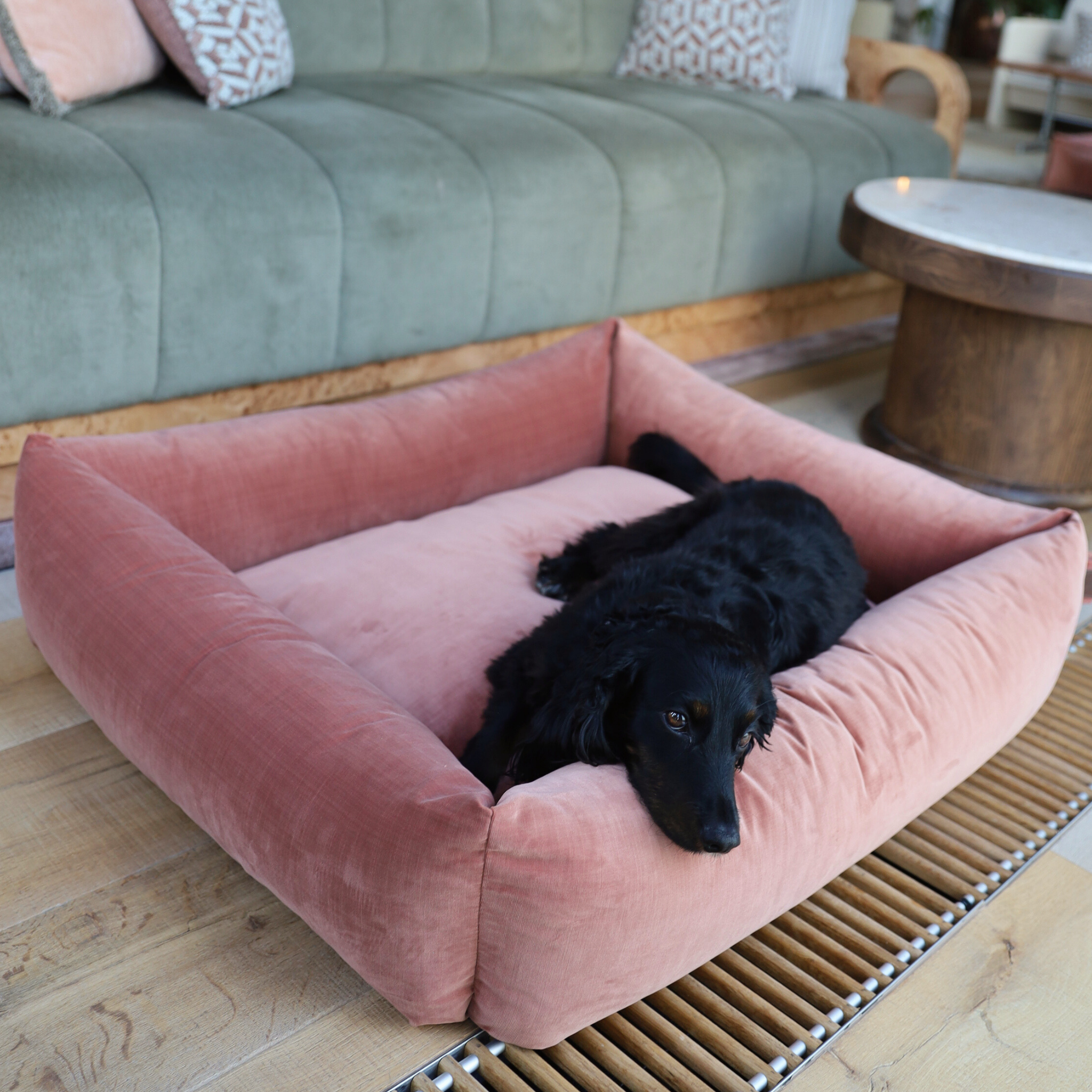 Cover Snug Limited Edition Mocha Mousse