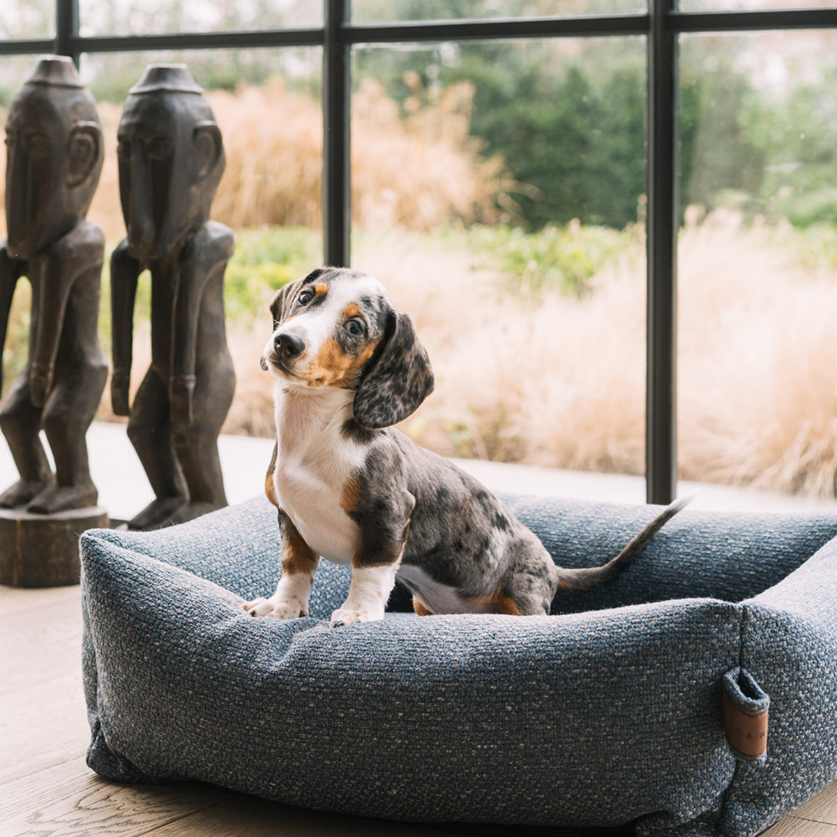 A dachshund puppy standing in the Midnight Blue Snug dog bed on a terrace 