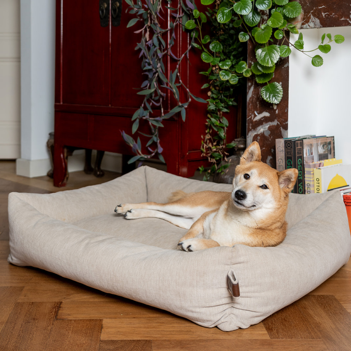 A Shiba Inu lying in the Oat Beige Snug dog bed 