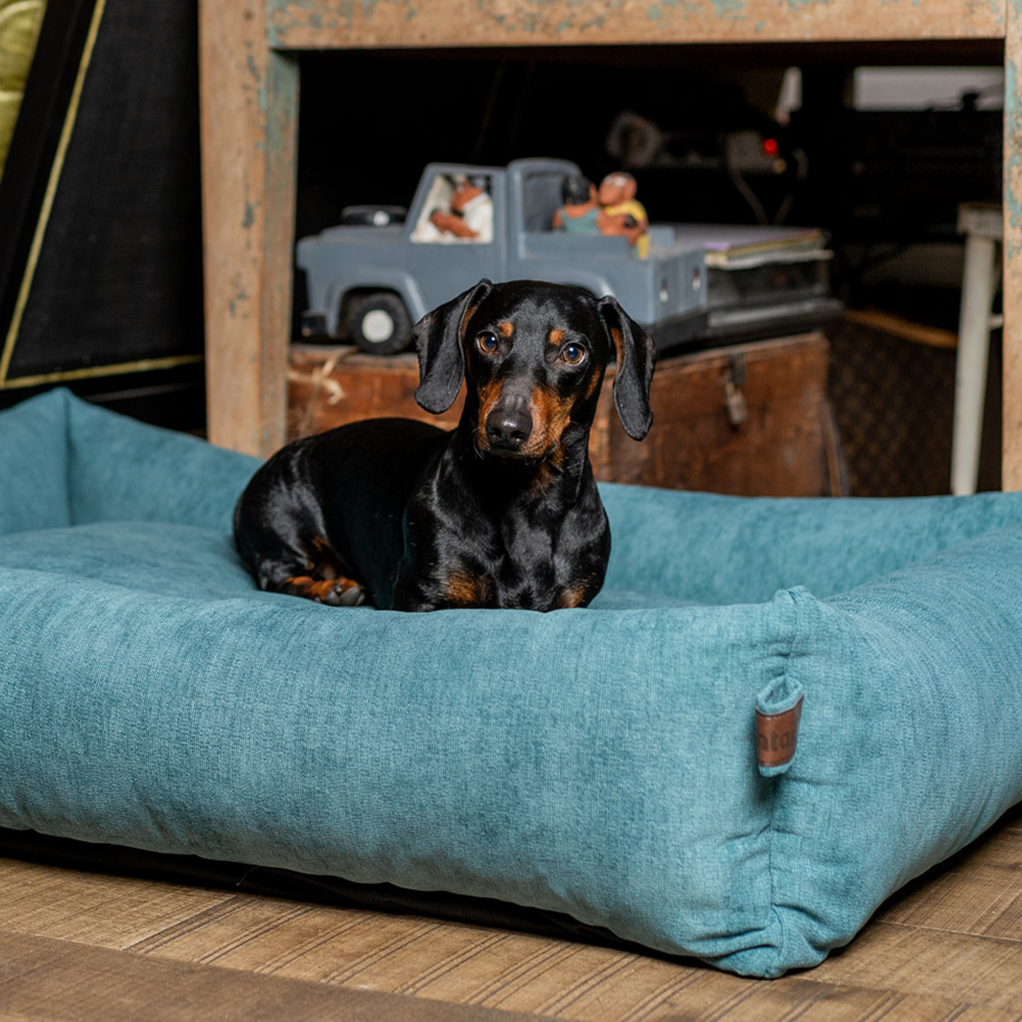 A dachshund sitting in the Peacock Blue Snug dog bed 