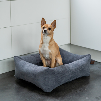 A small dog sitting in the Smoke Grey Snug dog bed 