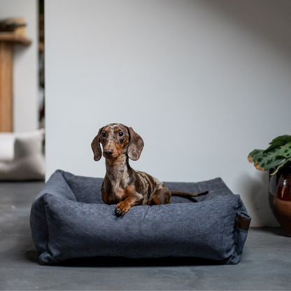 A dachshund lying in the Smoke Grey Snug dog bed 