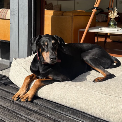 A Dobermann lying on the Clay Beige Stargaze dog mattress on a terrace 
