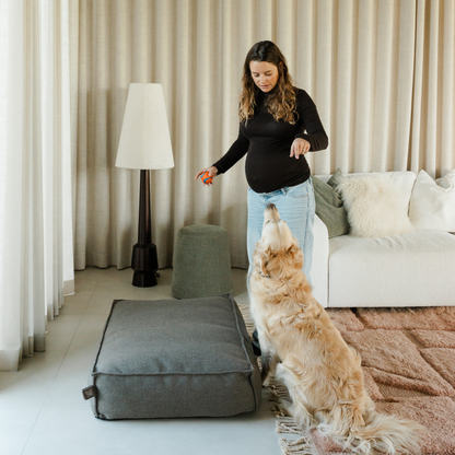 A woman playing with a golden retriever beside the Deep Taupe Stargaze dog mattress 