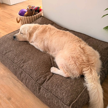 A golden retriever asleep on the Espresso Brown Stargaze dog mattress 