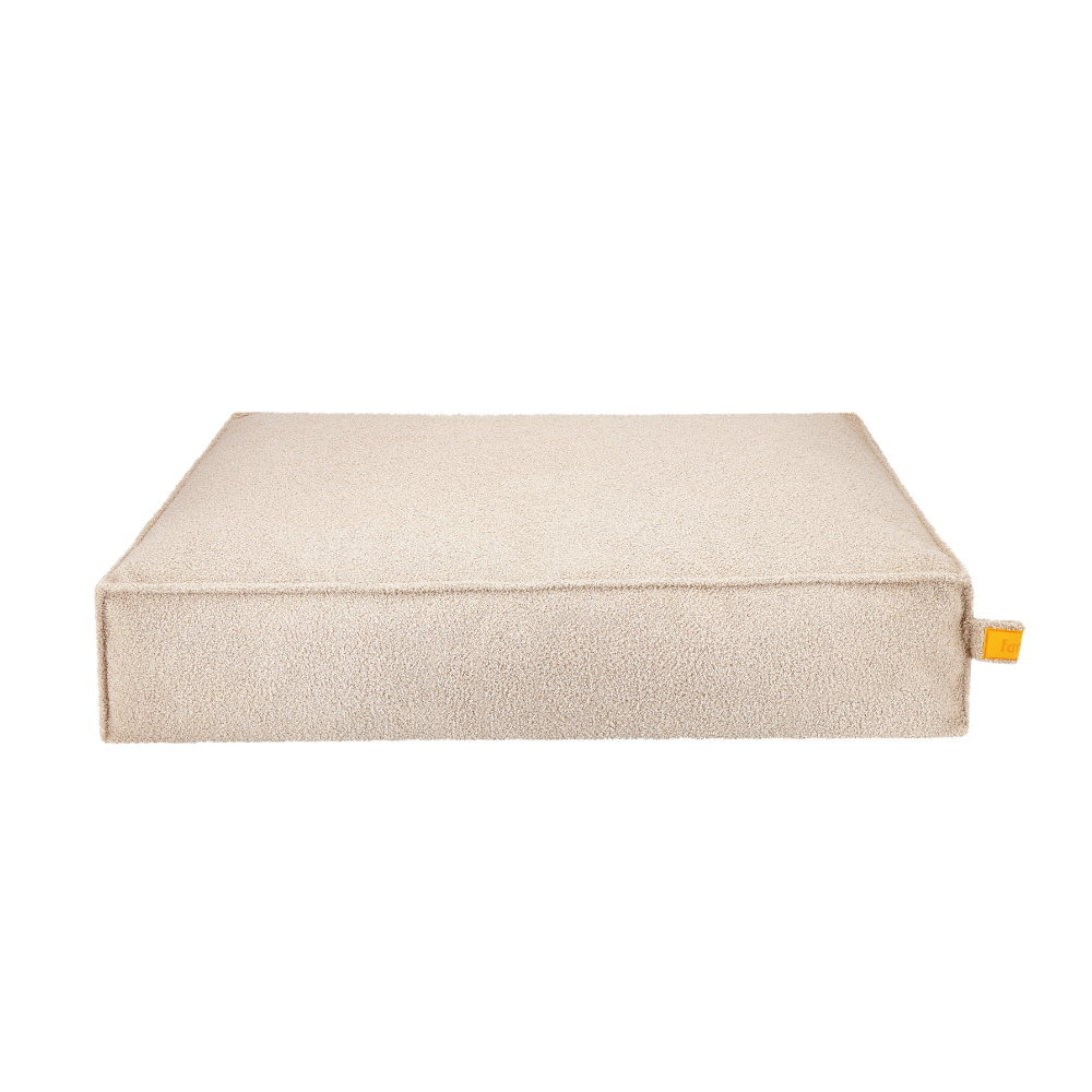 Cover Stargaze Limited Edition