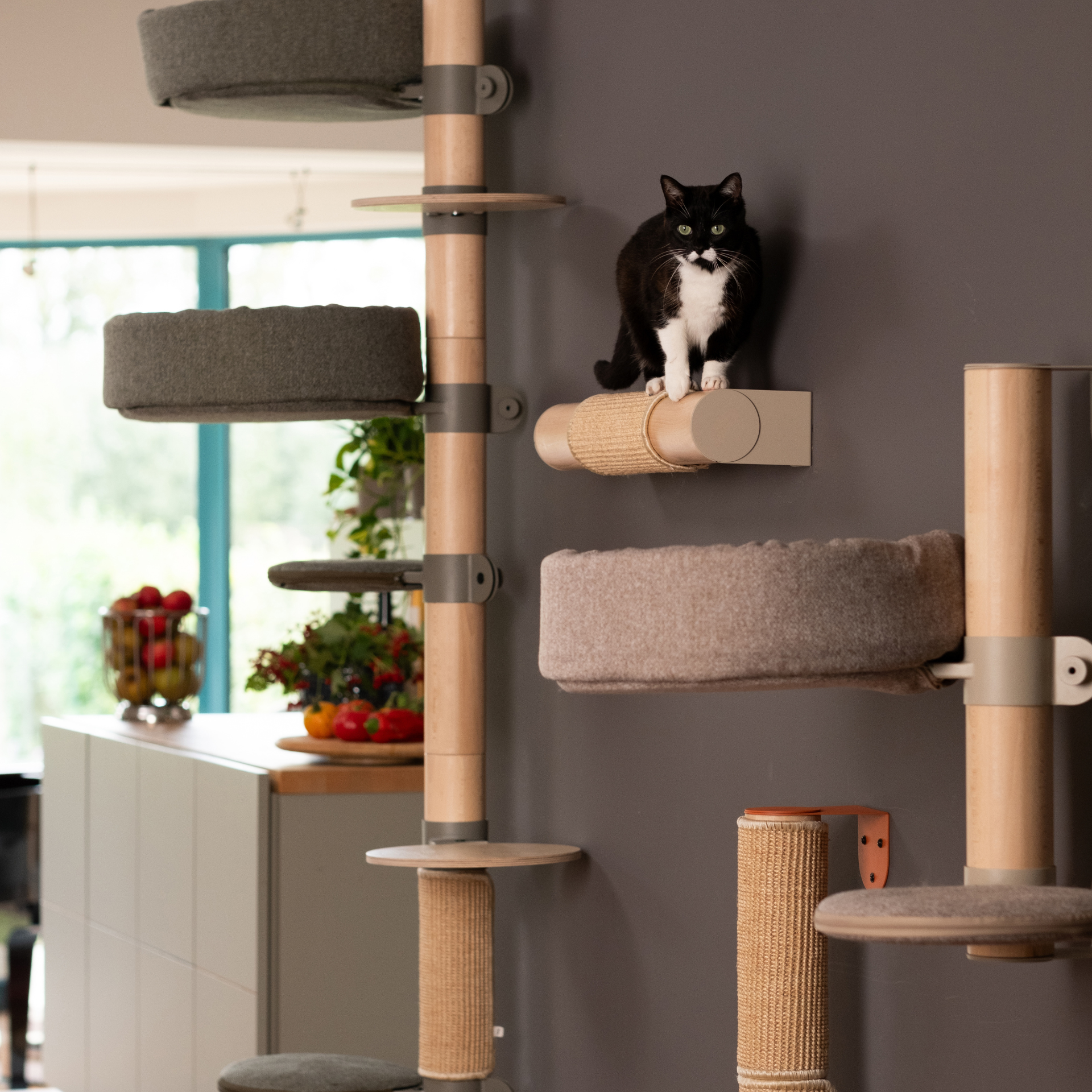 cat_tree_n9_wall_configuration_green_lifestyle