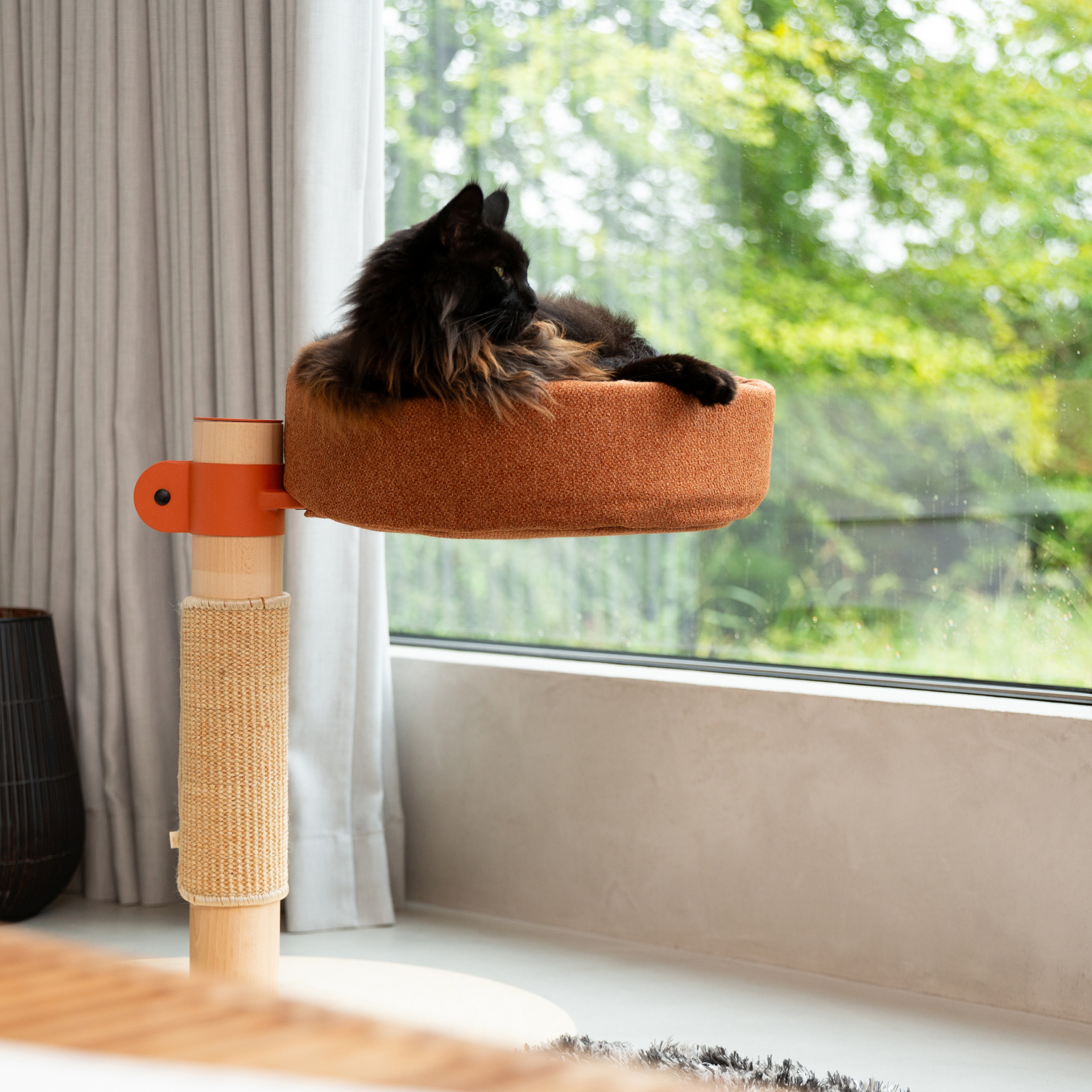 Kattenboom N°3 Oranje