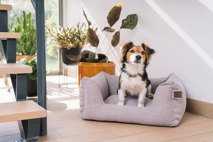 Basket Snooze Nut Grey Small 60x50cm - Fantail.be
