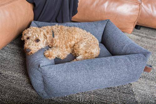 Basket Snug Epic Grey Medium 100x80cm - Fantail.be