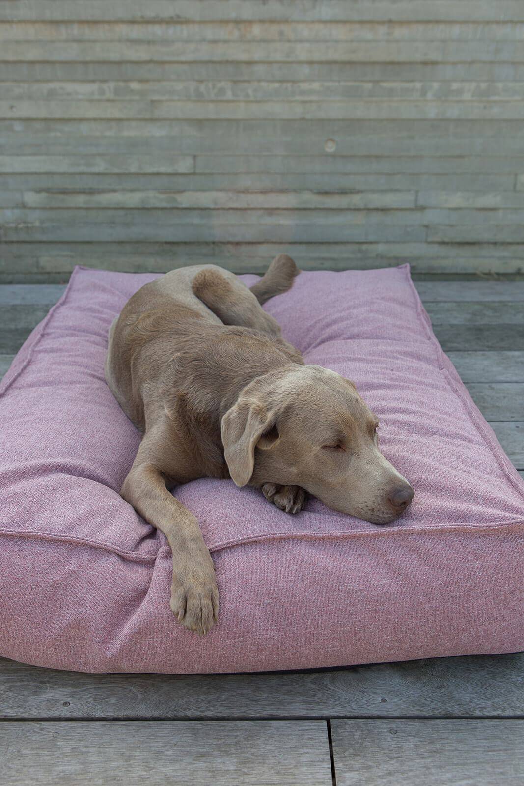 Mattress Stargaze Iconic Pink Large 120x90cm - Fantail.be