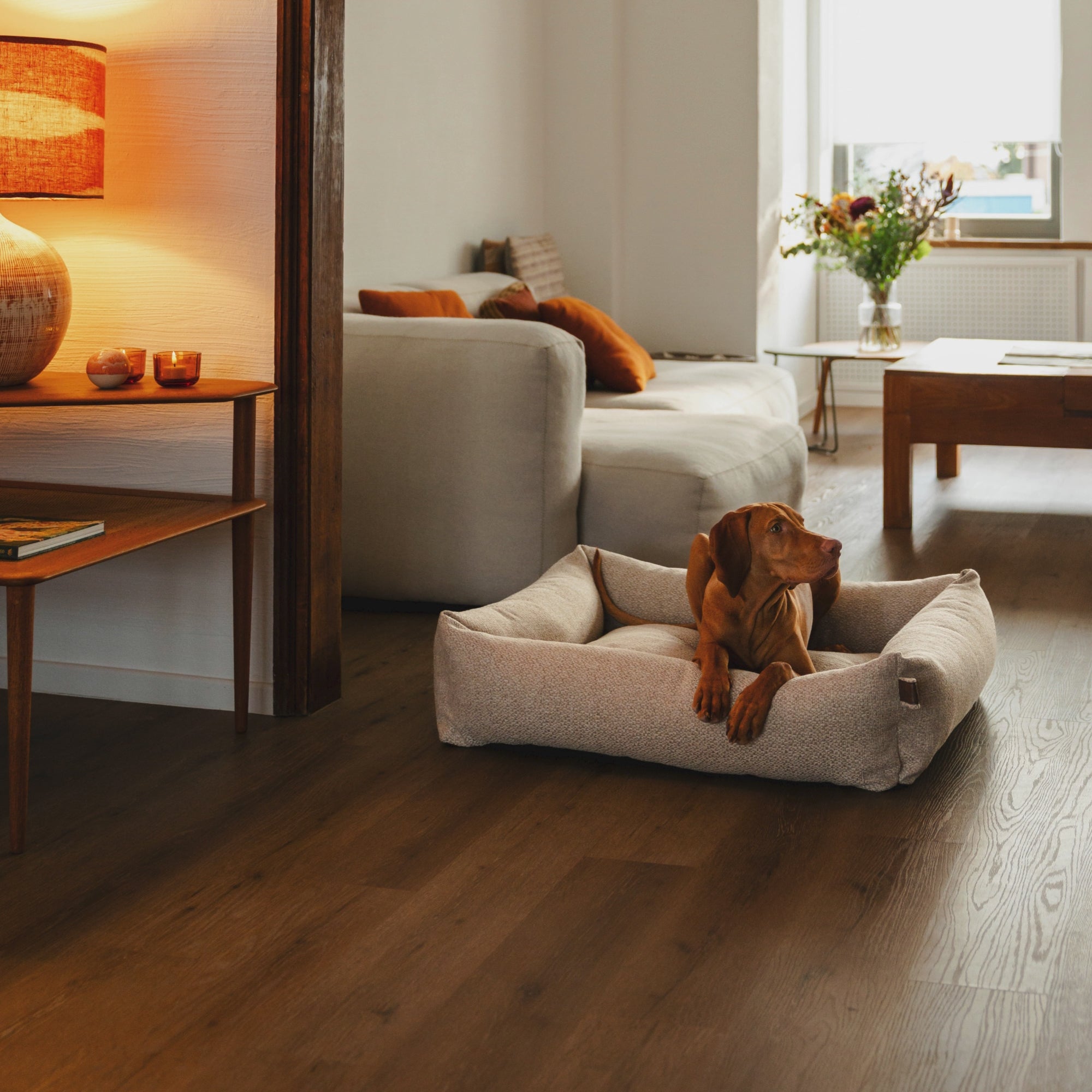 Load video: Dog in beige dog bed