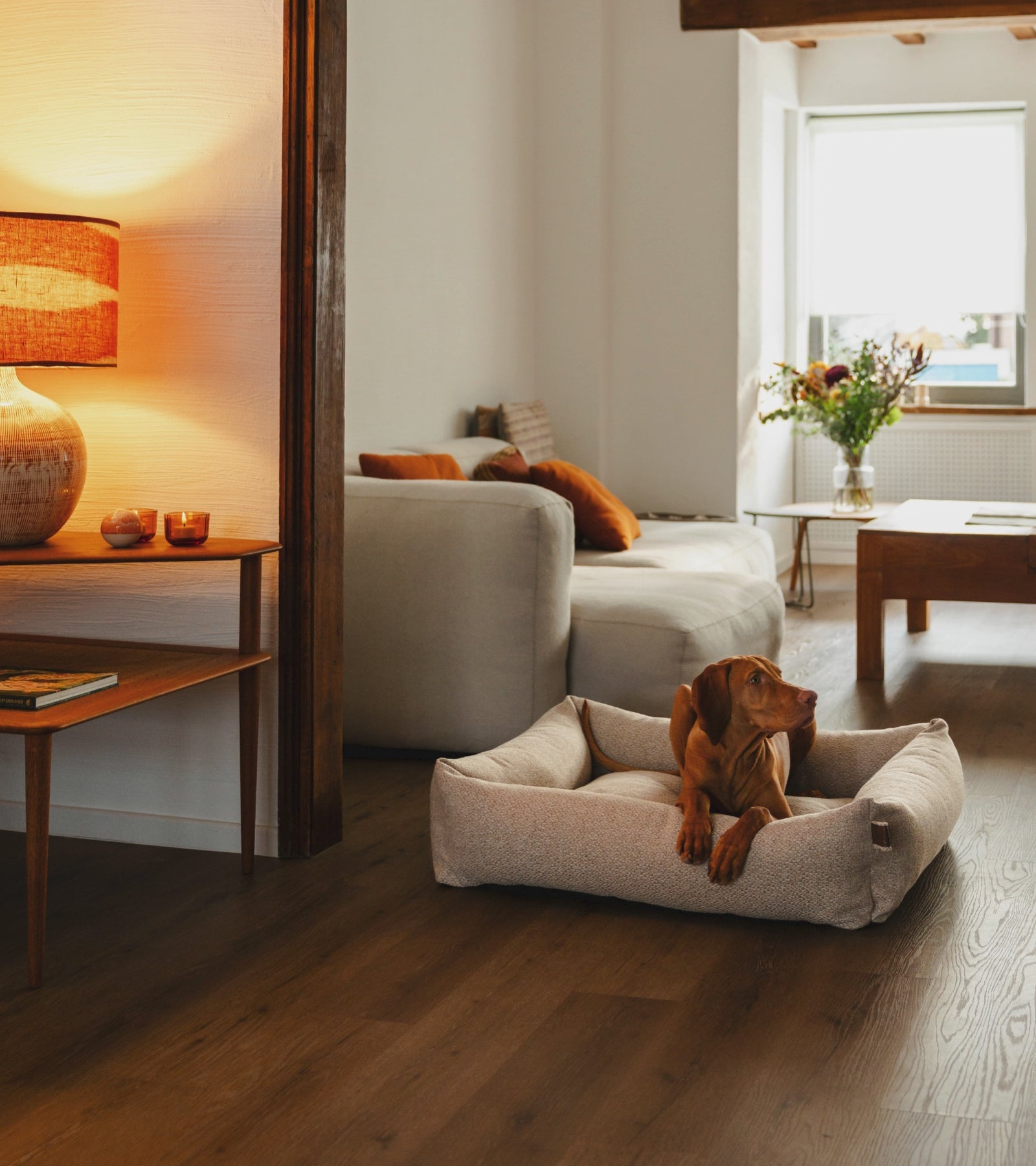 Load video: Dog in beige dog bed