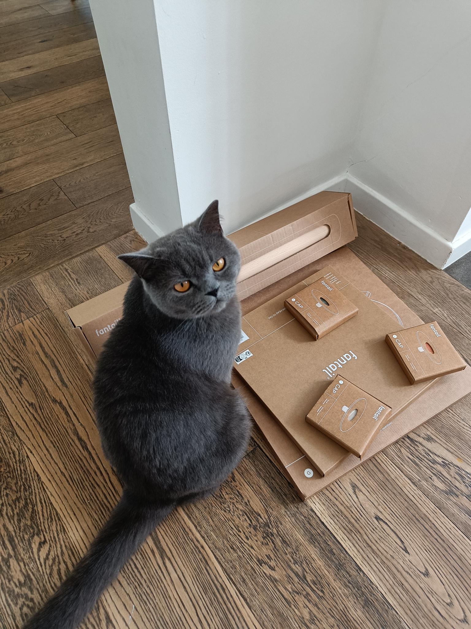 Scratching Post