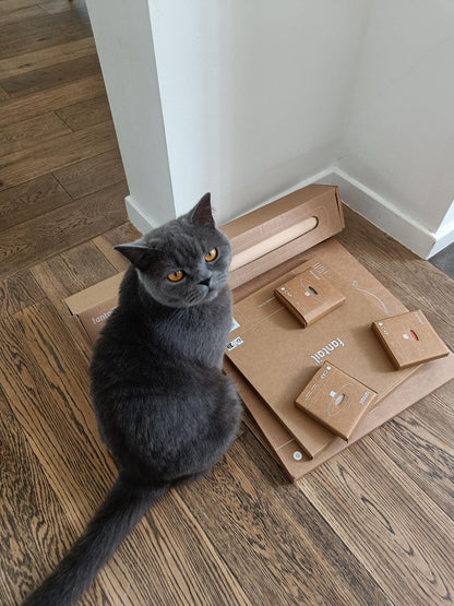 Scratching Post