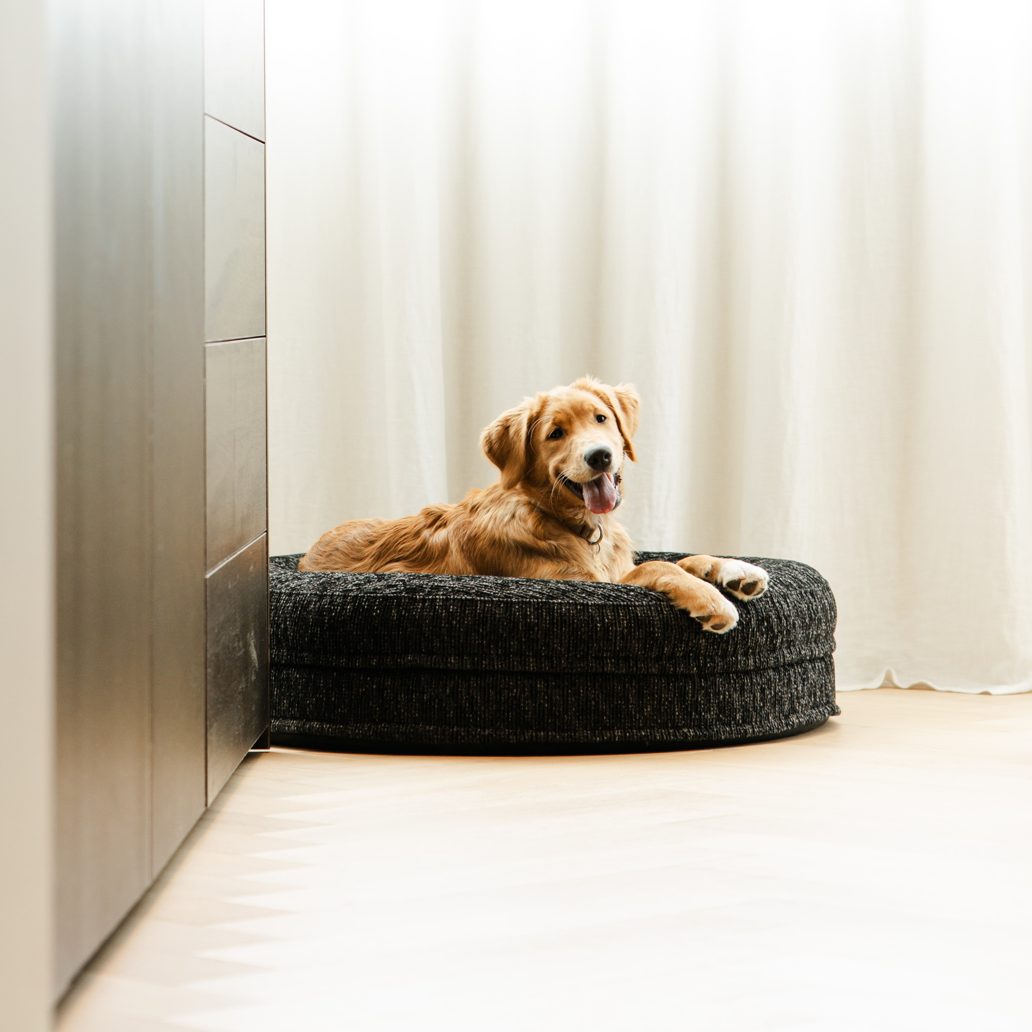 Swirl Elite Dog Bed Coal Without Frame – Orthopedic Dog Bed with Washable Cover