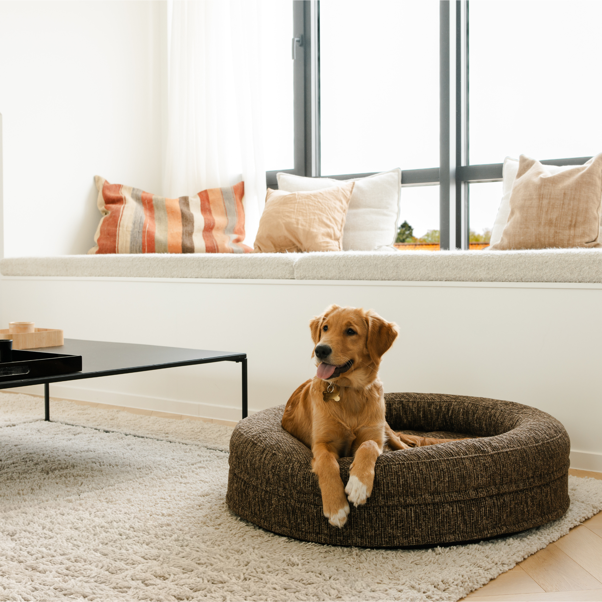 Swirl Elite Dog Bed Espresso Without Frame – Orthopedic Dog Bed with Washable Cover