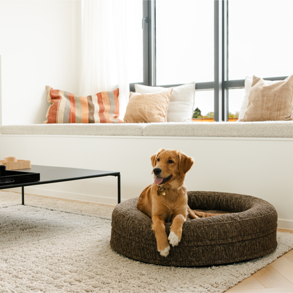 Cama para perros Swirl Elite Espresso sin estructura – cama ortopédica para perros y gatos con funda lavable