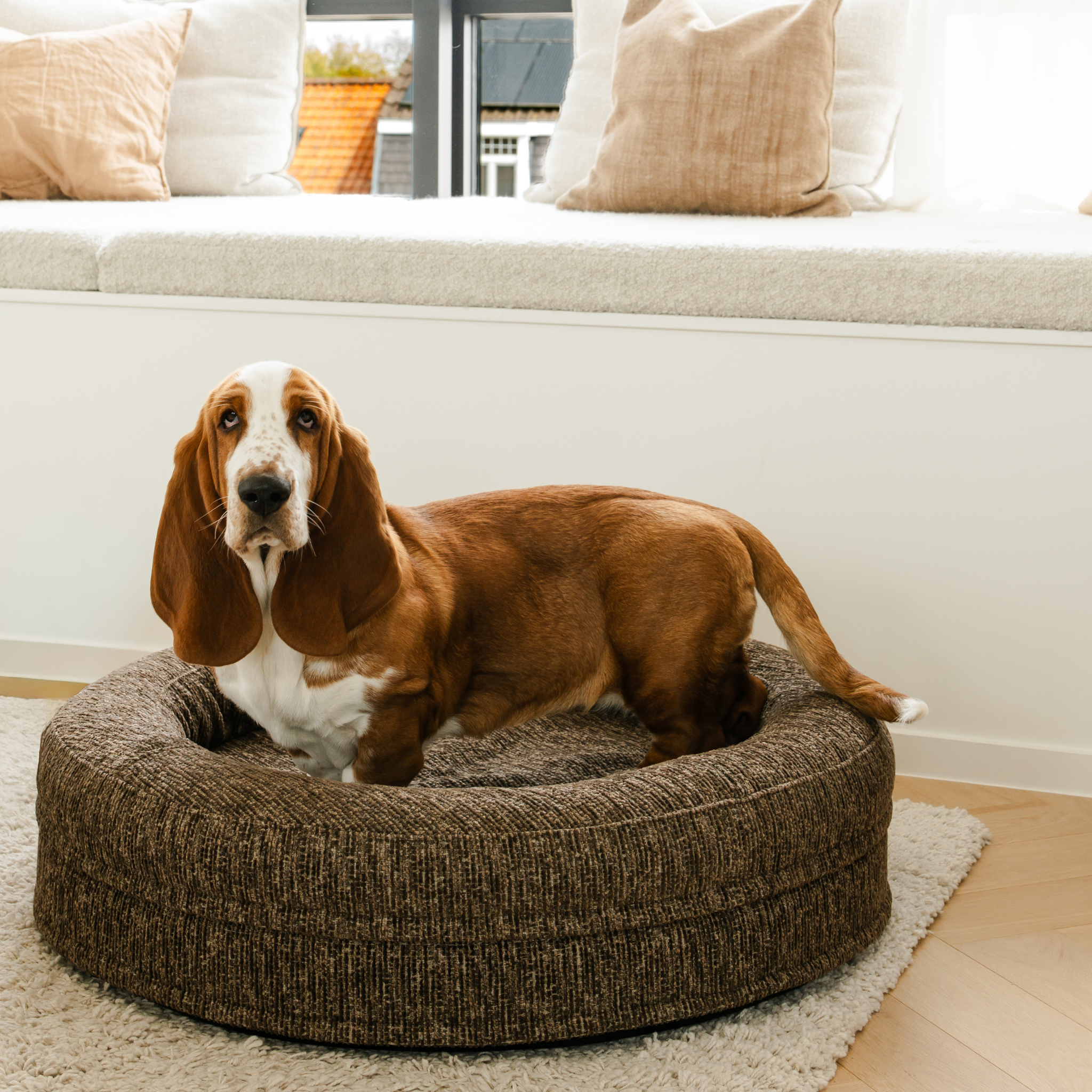 Swirl Elite Dog Bed Espresso Without Frame – Orthopedic Dog Bed with Washable Cover