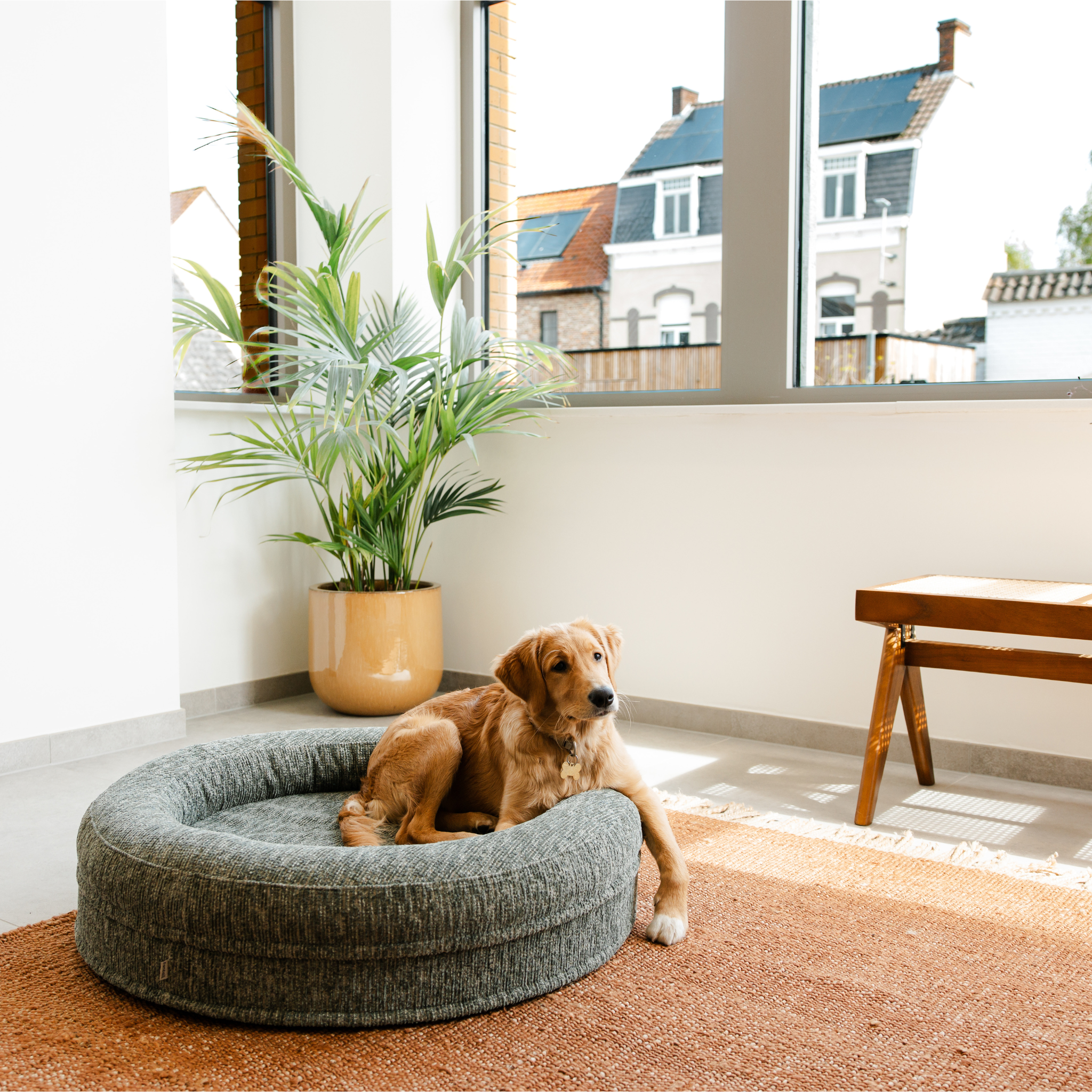 Swirl Elite Dog Bed Forest Without Frame – Orthopedic Dog & Cat Bed with Washable Cover