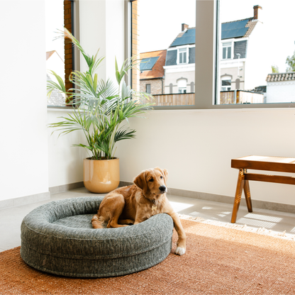 Cama para perros Swirl Elite Forest sin estructura – cama ortopédica para perros y gatos con funda lavable