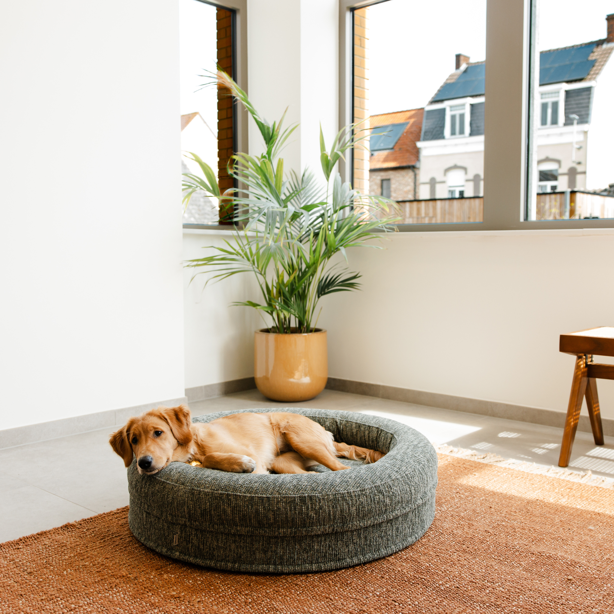 Swirl Elite Dog Bed Forest Without Frame – Orthopedic Dog & Cat Bed with Washable Cover