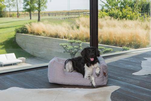 Basket Snooze Nut Grey Medium 80x60cm - Fantail.be