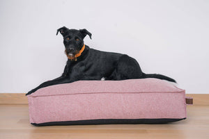 Stargaze Origin Mattress Iconic Pink Medium