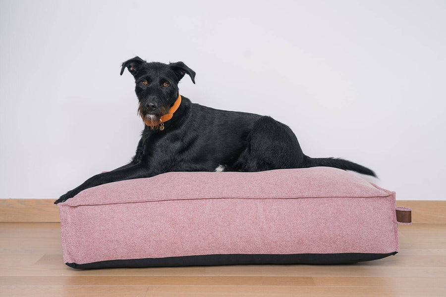 Stargaze Origin Mattress Iconic Pink Medium