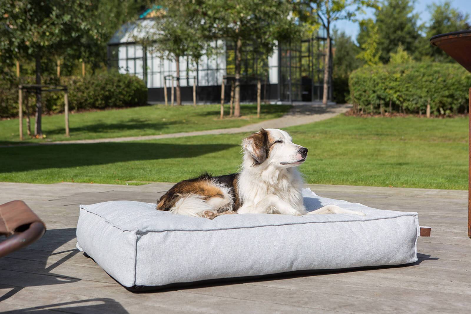 Mattress Stargaze Silver Spoon Large 120x90cm - Fantail.be